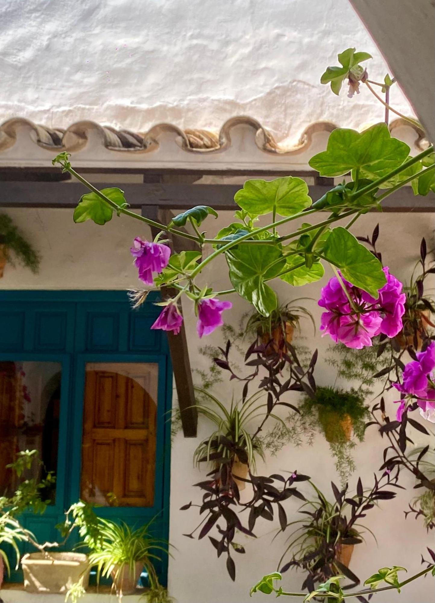 La Buganvilla De Santiago Córdoba Buitenkant foto