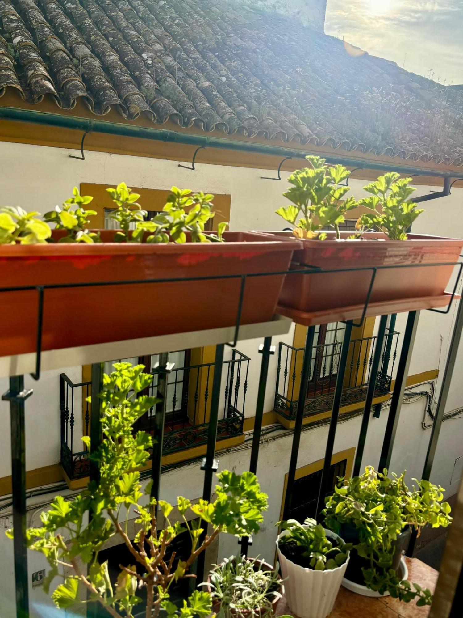 La Buganvilla De Santiago Córdoba Buitenkant foto